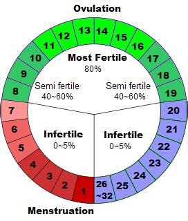 Fertile window calculator - ImranSaafir