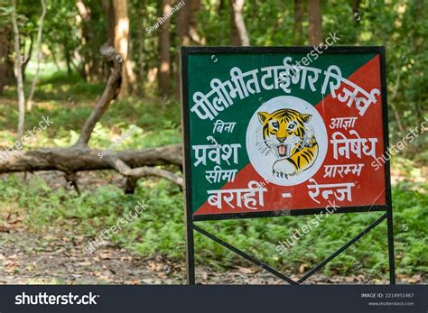 Pilibhit Tiger Reserve Uttar Pradesh India Stock Photo 2214951467 | Shutterstock