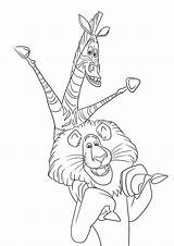 Imagen Simple Para Colorear De Melman Y Alex El León Imprimir O  sketch template