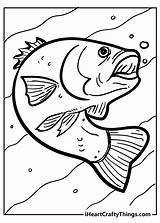 Dive Into Fun With Free Coloring Pages Of Fish sketch template