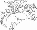 Anime Pegasus Horse Coloring Pages sketch template