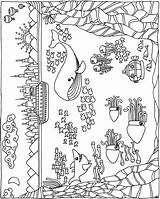Welcome to Dover Publications  6 Dover coloring Pages Summer sketch template