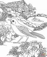 Flower garden coloring Pages To Download And Print For Free sketch template