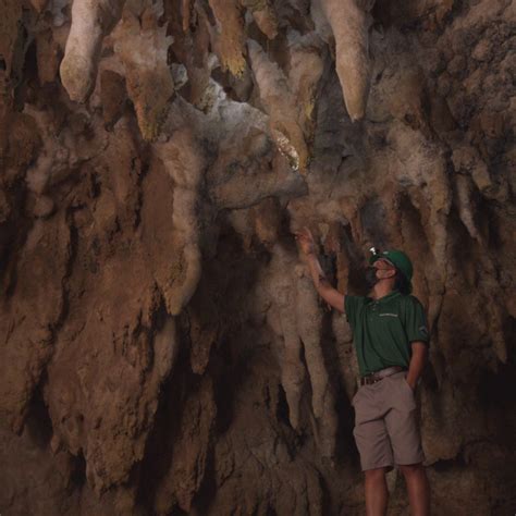 Explore the Río Camuy Cave Park | Discover Puerto Rico