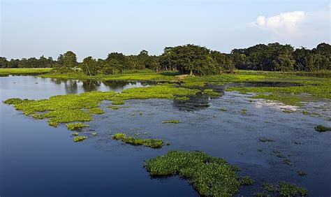 Majuli: Massive River Island Of The Brahmaputra - WorldAtlas