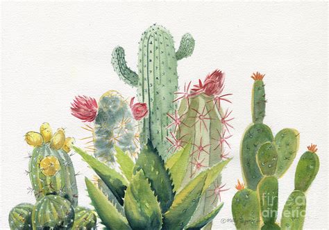 Watercolor Art & Collectibles Unique Cactus Watercolor etna.com.pe