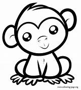 Monkeys  A Cute Baby monkey Sitting coloring Page sketch template