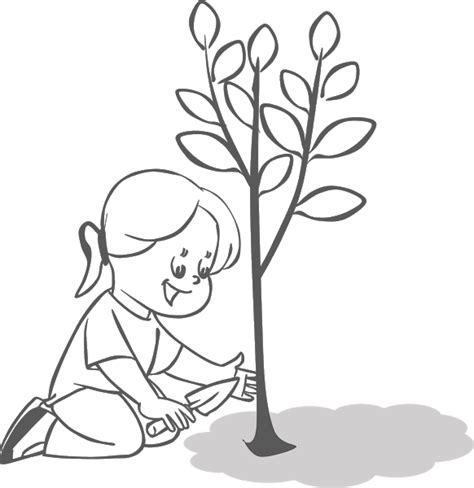 Planting Trees Clipart | Tree drawing, Plant drawing, Easy drawings