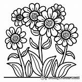 Mayflower Coloring Pages  Free & Printable sketch template