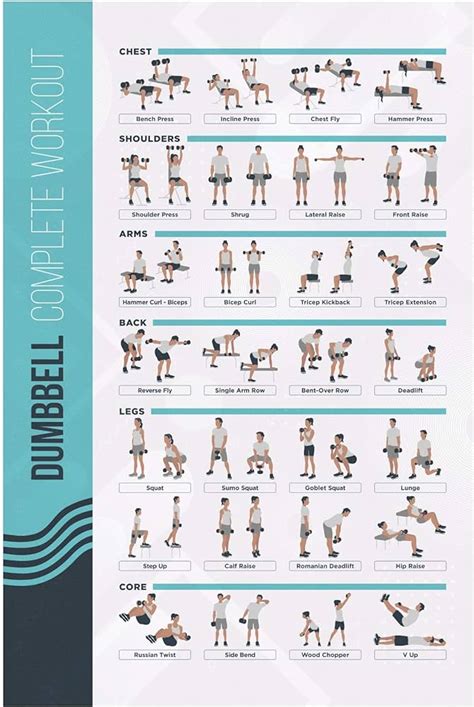 Palace Learning Dumbbell Workout Exercise Poster Ubuy Nepal | lupon.gov.ph