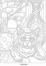 Creative Haven Coloring Sheets Colored Pages sketch template