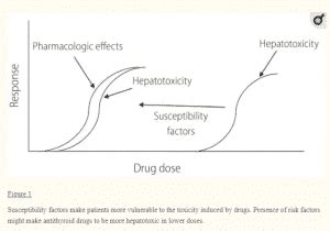 Methimazole Side Effects You Should Be Aware Of (What to Expect)