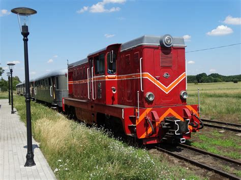 Free Images : forest, track, locomotive, germany, old train, rail transport, narrow gauge ...