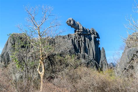 Strange shapes | Chillagoe-Mungana Caves National Park | Peter Albion | Flickr