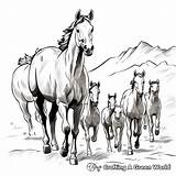 Herd Of Horses Coloring Pages  Free & Printable sketch template