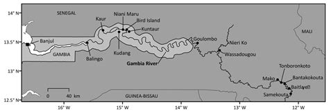 Figure-3-Map-of-the-Gambia-River - Save Our Seas Foundation