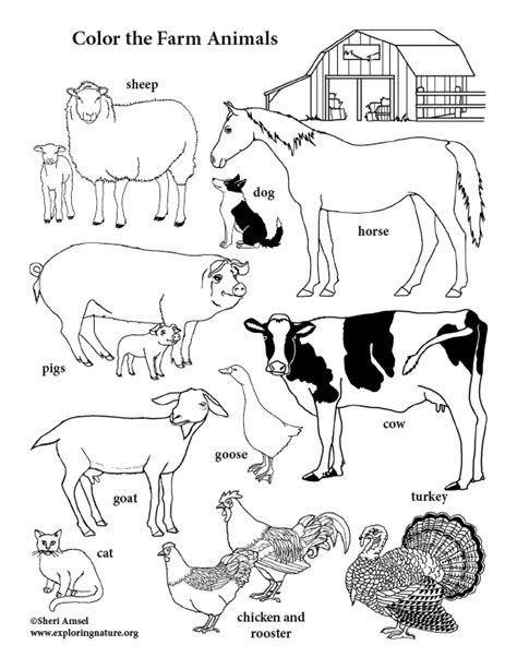 Farm Animals Coloring Pages Pdf - Free Printable Templates