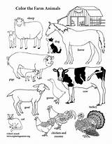 Coloring Pages Of Farm Animals sketch template