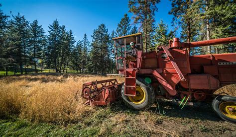 Vintage Vibes: The Massey Ferguson 300 Combine - AGCO FarmLife