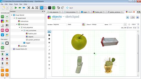 Visual world // OpenSesame documentation