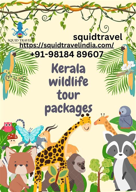 Kerala wildlife tour packages - Squid Travel - Medium