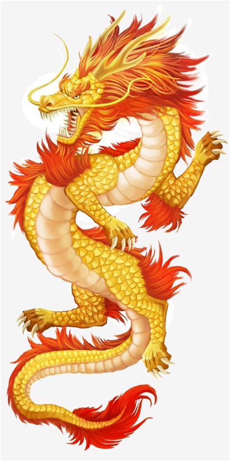 a yellow and red dragon on a white background