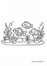 Fish Coloring Pages  39 Free Printable Sheets sketch template