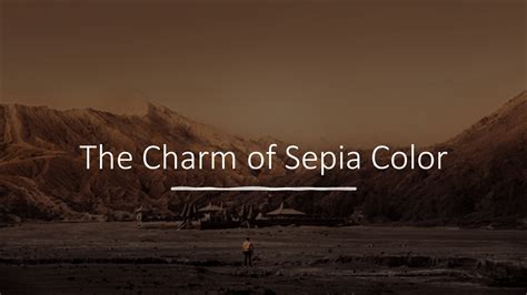 The Charm of Sepia Color : A Look at the Timeless Color in Photography ...