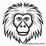 Baboon Coloring Pages  Free & Printable sketch template