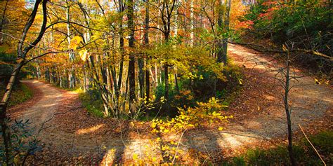 Bent Creek Mountain Bike Trails | The Adventure Collective