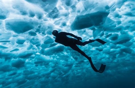 Ice Diving: Experience The Exquisite Fun Underwater!