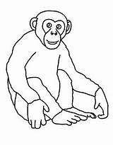 Gorilla Coloring Pages Free Printable PDF sketch template