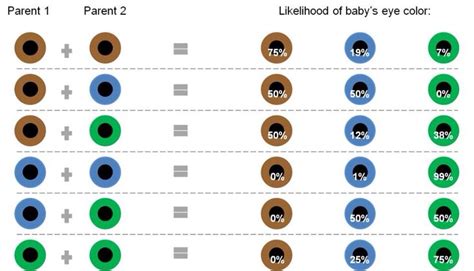 Eyecolorchart.com | Eye color chart, Eye color chart genetics, Baby eye color chart