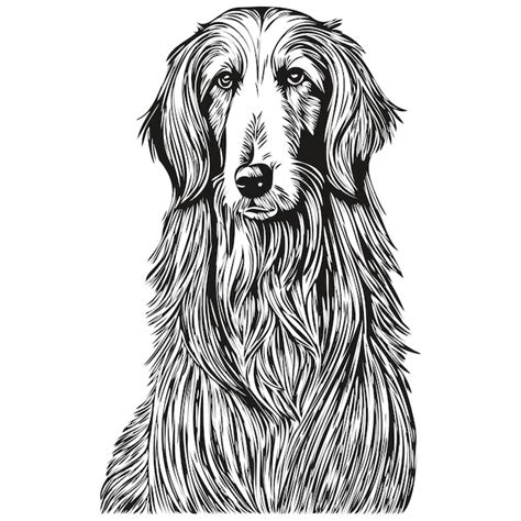 Premium Vector | Afghan hound dog logo vector black and white vintage cute dog head engraved ...