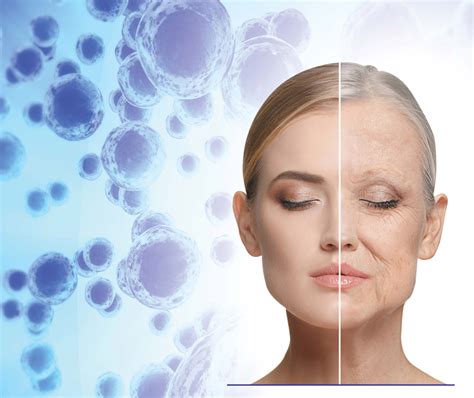 Stem Cells & Skin Rejuvenation