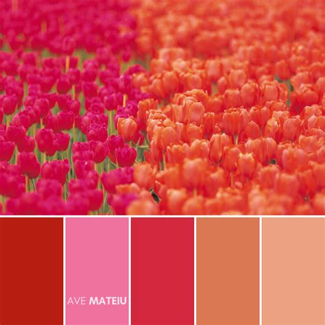 10 Valentine's Day Color Palettes 2020 + FREE Colors Guide - Ave Mateiu