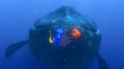 Bruce Finding Nemo Quotes. QuotesGram