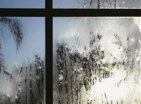 Understanding Window Condensation: Causes and Solutions – Interior ...