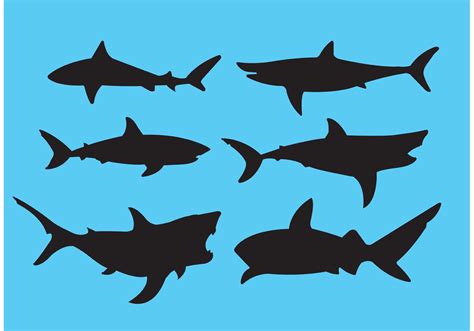 Great white shark - Download Free Vector Art, Stock Graphics & Images