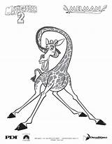Melman Of Madagascar 3  Giraffe Coloring Pages sketch template