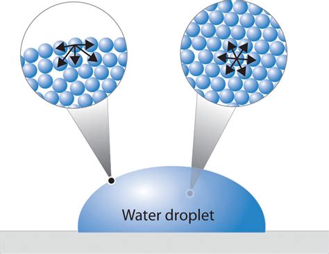 11.4: Intermolecular Forces in Action- Surface Tension, Viscosity, and Capillary Action ...