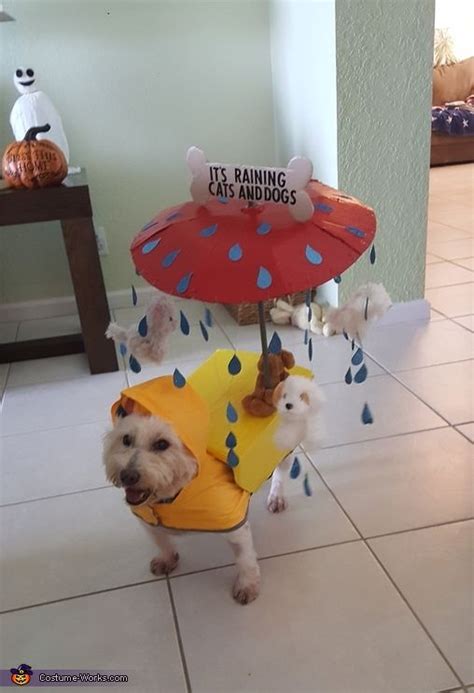 It's Raining Cats and Dogs - Halloween Costume Contest at Costume-Works.com | Cute dog costumes ...