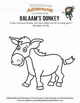 Balaams Donkey Colouring Pages Page 2 Sketch Coloring sketch template
