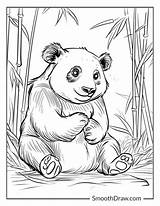Free Panda Coloring Page Download Png Images  sketch template