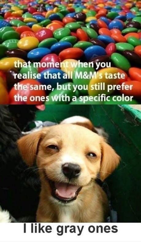 color blind dog - Meme by tomahawkcj4 :) Memedroid