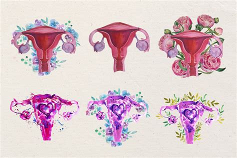 Watercolor Uterus Clipart. (694908) | Illustrations | Design Bundles