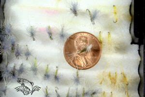 What is a Midge in Fly Fishing and How to Select the BEST - Guide Recommended