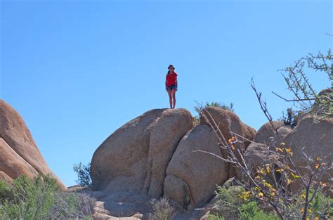 The California Desert with Family - City Parent