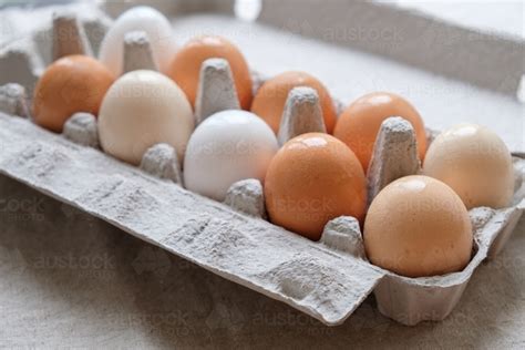 Image of Organic free range eggs in carton - Austockphoto