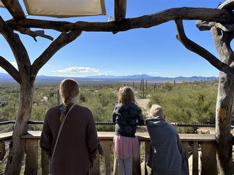 Arizona-Sonoran Desert Museum near Tucson - Phoenix With Kids